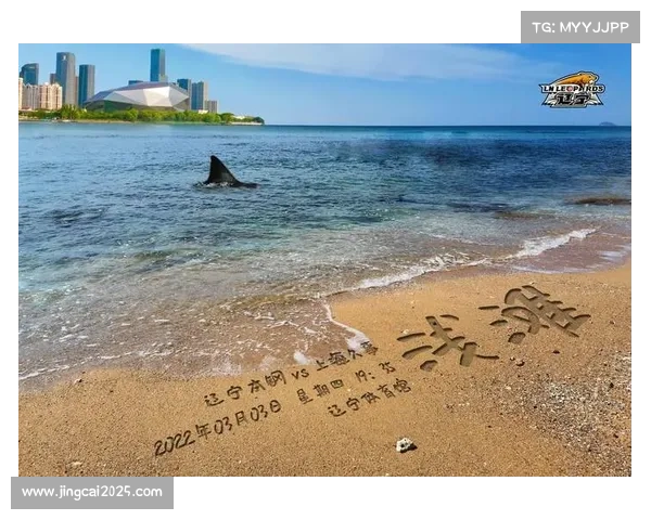 王岚嵚回应转会传闻 辽宁海报确认我将继续效力