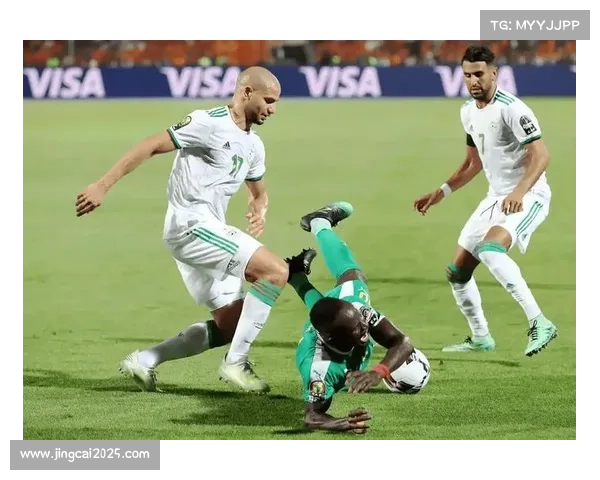 非洲杯淘汰赛生死对决，尼日利亚迎战阿尔及利亚引关注